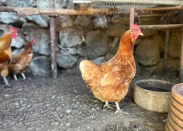 Casa De Dominga * Valleseco