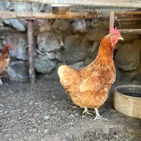 Casa De Dominga * Valleseco